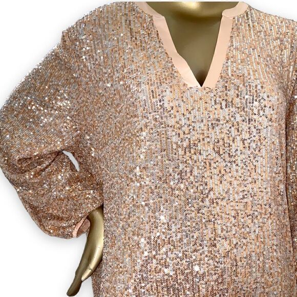 Scoop XL (16-18) plus Rose Gold stretch Sequined Dress. L/S - Picture 6 of 12